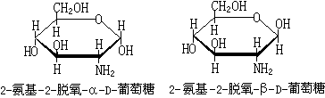 氨基葡萄糖