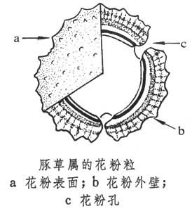 大氣生物污染