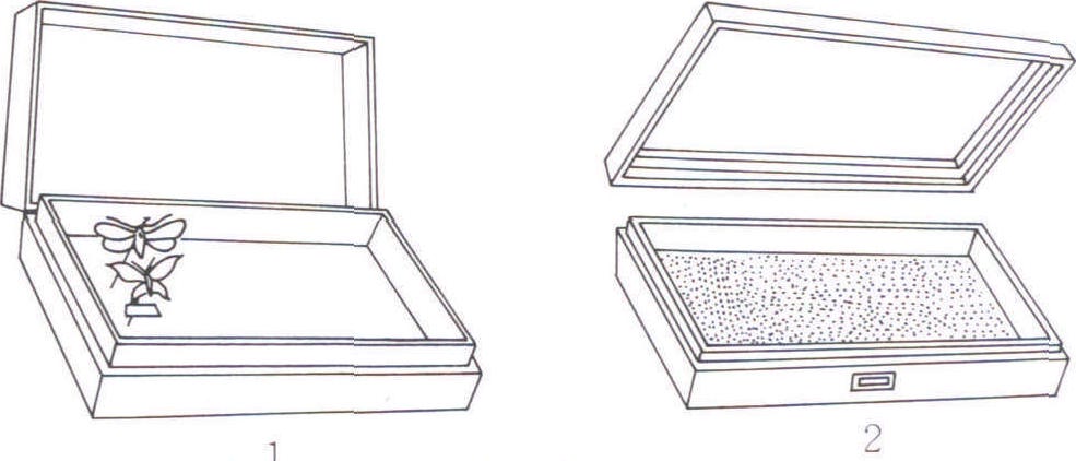 (四)標本保存的設(shè)備